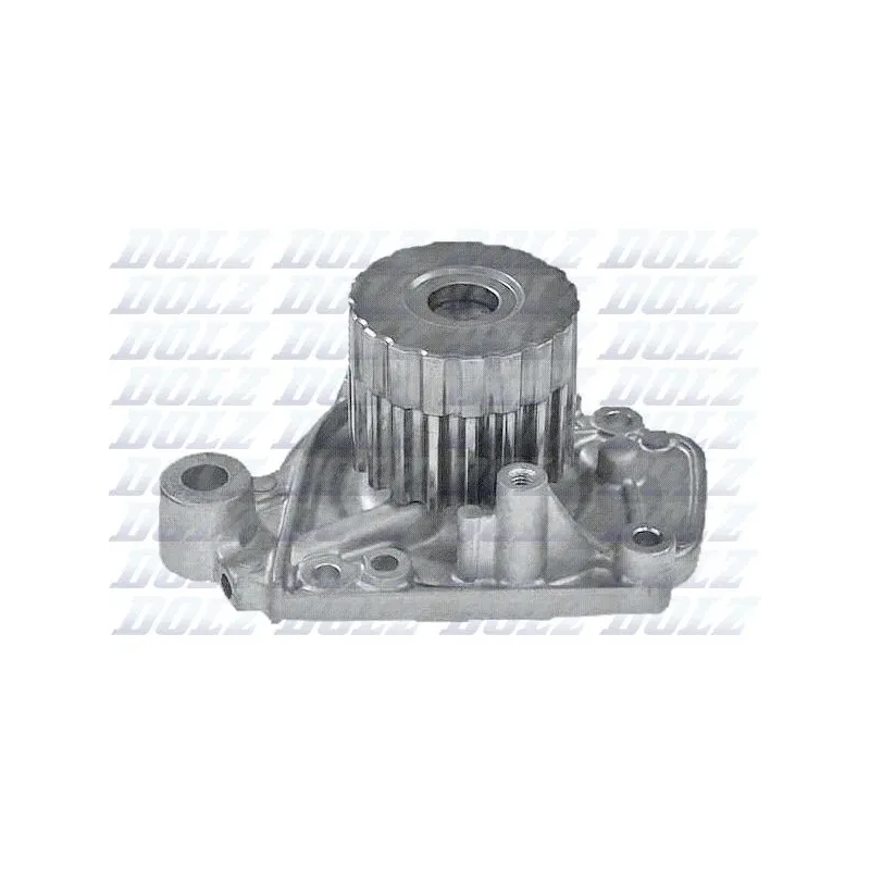 DOLZ H129 Bomba de agua, refrigeración del motor