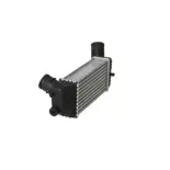 NRF 30894 Radiador de aire de admisión