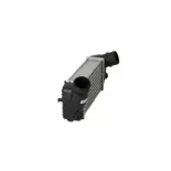 NRF 30894 Radiador de aire de admisión