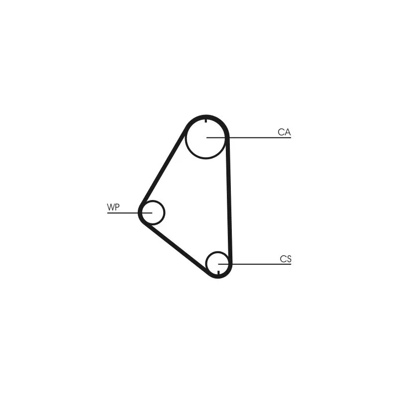 CONTINENTAL CTAM CT558 Correa dentada