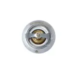 NRF 725181 Termostato, refrigerante