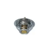 NRF 725181 Termostato, refrigerante