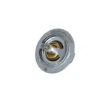 NRF 725181 Termostato, refrigerante