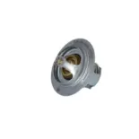 NRF 725181 Termostato, refrigerante