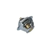 NRF 725181 Termostato, refrigerante