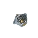 NRF 725181 Termostato, refrigerante