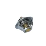 NRF 725181 Termostato, refrigerante