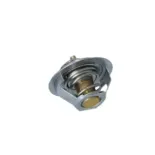 NRF 725181 Termostato, refrigerante