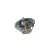 NRF 725181 Termostato, refrigerante