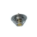 NRF 725181 Termostato, refrigerante