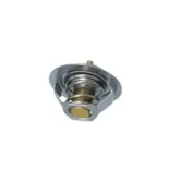 NRF 725181 Termostato, refrigerante