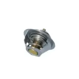 NRF 725181 Termostato, refrigerante