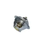 NRF 725181 Termostato, refrigerante