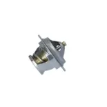 NRF 725181 Termostato, refrigerante