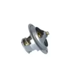 NRF 725181 Termostato, refrigerante