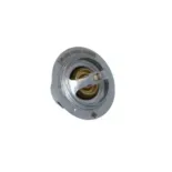 NRF 725181 Termostato, refrigerante