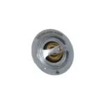 NRF 725181 Termostato, refrigerante