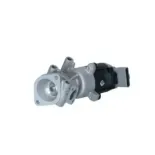 NRF 48603 Válvula EGR