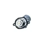 NRF 725023 Termostato, refrigerante