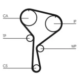 CONTINENTAL CTAM CT1035WP1 Bomba de agua + kit correa distribución