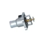 NRF 725030 Termostato, refrigerante