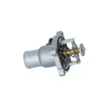 NRF 725030 Termostato, refrigerante