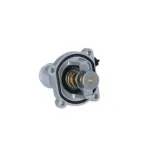 NRF 725030 Termostato, refrigerante