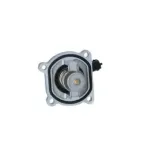 NRF 725030 Termostato, refrigerante