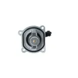 NRF 725030 Termostato, refrigerante