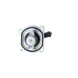 NRF 725030 Termostato, refrigerante