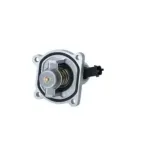 NRF 725030 Termostato, refrigerante