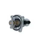 NRF 725030 Termostato, refrigerante