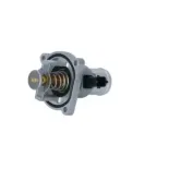 NRF 725030 Termostato, refrigerante