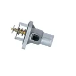 NRF 725030 Termostato, refrigerante