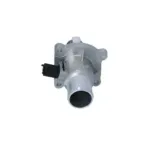 NRF 725030 Termostato, refrigerante