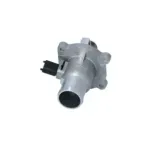 NRF 725030 Termostato, refrigerante