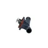 NRF 725050 Termostato, refrigerante