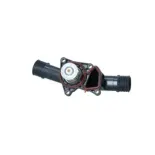 NRF 725050 Termostato, refrigerante