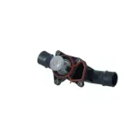 NRF 725050 Termostato, refrigerante