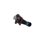 NRF 725050 Termostato, refrigerante