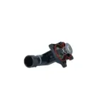 NRF 725050 Termostato, refrigerante