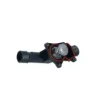 NRF 725050 Termostato, refrigerante