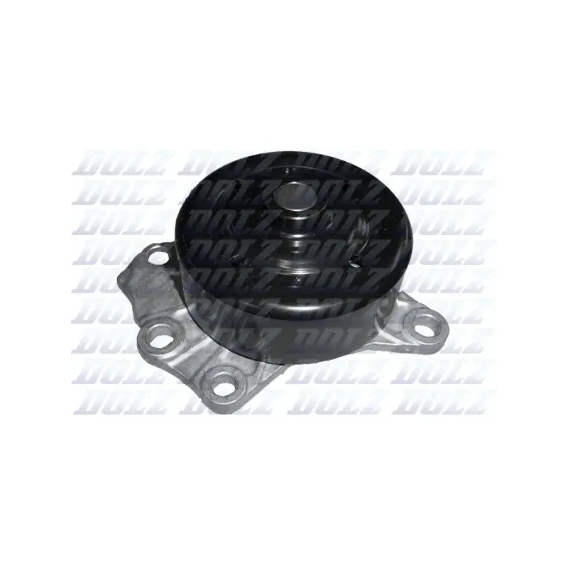 DOLZ T226 Bomba de agua, refrigeración del motor