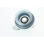 FEBEST 0487-KB4T Polea tensora, correa poli V