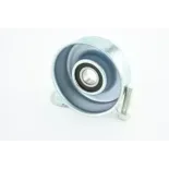 FEBEST 0487-KB4T Polea tensora, correa poli V