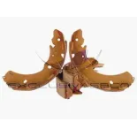 MDR MRS-2510 Juego de zapatas de frenos