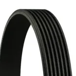 CONTINENTAL CTAM 7PK2283 Correa trapecial poli V