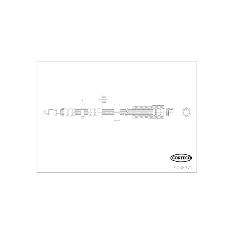 CORTECO 19036377 Tubo flexible de frenos