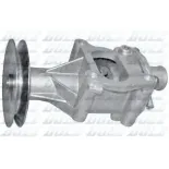 DOLZ S113 Bomba de agua, refrigeración del motor