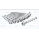 AJUSA 81001000 Juego de tornillos de culata